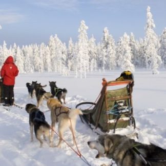 Christmas 2022 Lapland Break