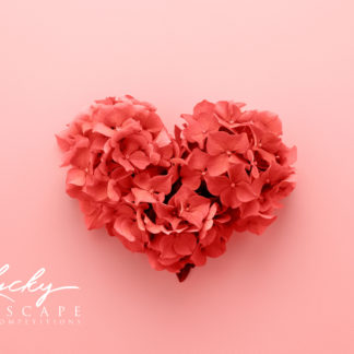 Valentine's Giveaway- 4 Winners!!!