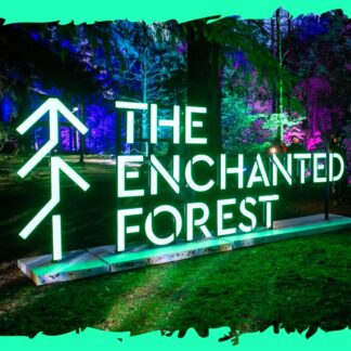The Enchanted Forest for a family of 5 & £100 cash- GIVEAWAY