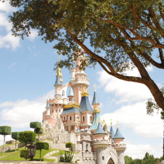 Disneyland Paris for a family of up to 5