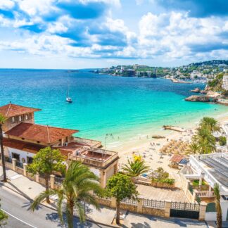 Palma